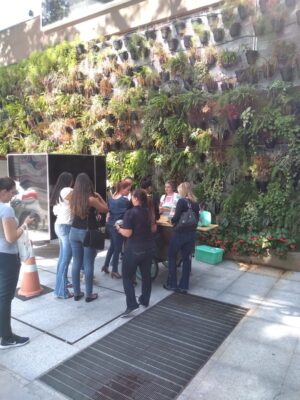 FoodCart 3B